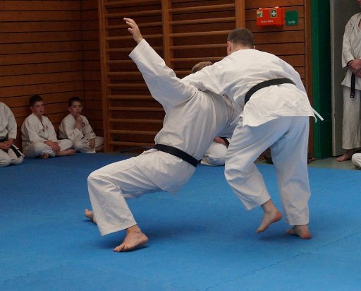 DSC03673 (Large).JPG